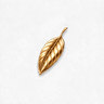 Éden's Club